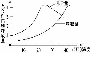 温度对光合作用的影响